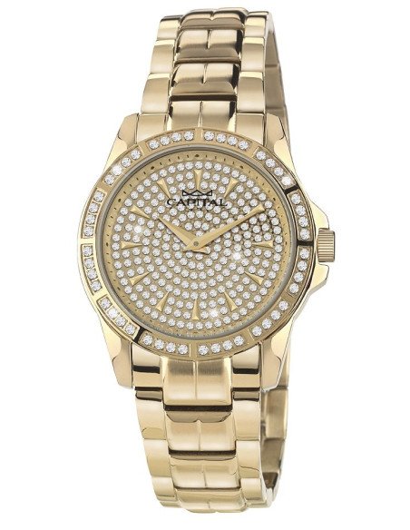 Capital Orologi Collezione New York Donna AX8104