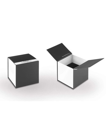 Capital Orologi Gift Box 01