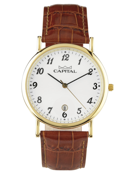 Capital Orologi Collezione Daily Uomo AX279-01