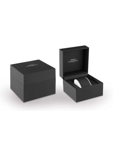 Capital Orologi Gift Box 02